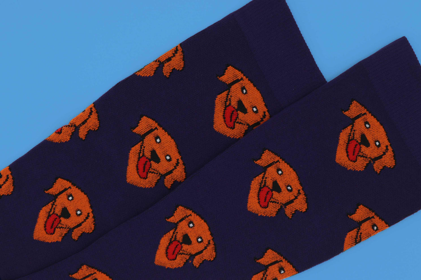 Chaussettes de compression pour chien