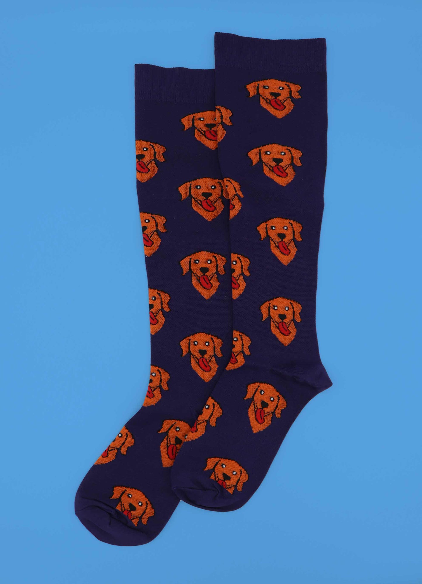 Chaussettes de compression pour chien